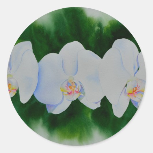 Elegant tropisch wit waterverf orchidee schilderij ronde sticker (Voorkant)