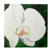 Elegant tropisch wit waterverf orchidee schilderij tegeltje (Voorkant)