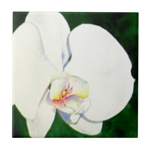Elegant tropisch wit waterverf orchidee schilderij tegeltje (Voorkant)