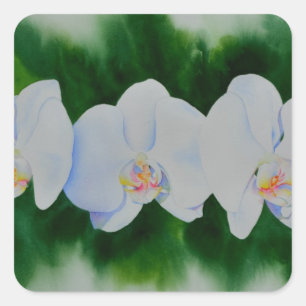 Elegant tropisch wit waterverf orchidee schilderij vierkante sticker
