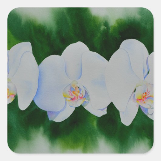 Elegant tropisch wit waterverf orchidee schilderij vierkante sticker (Voorkant)