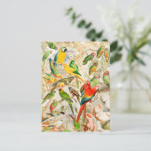 Elegant  Tropische Vogelparrots Briefkaart (Staand voorkant)