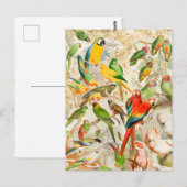 Elegant  Tropische Vogelparrots Briefkaart (Voorkant / Achterkant)
