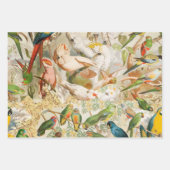 Elegant  Tropische Vogelparrots Inpakpapier Vel (Voorkant 3)