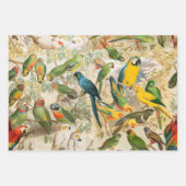 Elegant  Tropische Vogelparrots Inpakpapier Vel (Voorkant 2)
