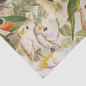 Elegant Tropische Vogelparrots ontkoppelen Tissuepapier (Detail)