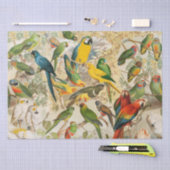 Elegant Tropische Vogelparrots ontkoppelen Tissuepapier (Craft)