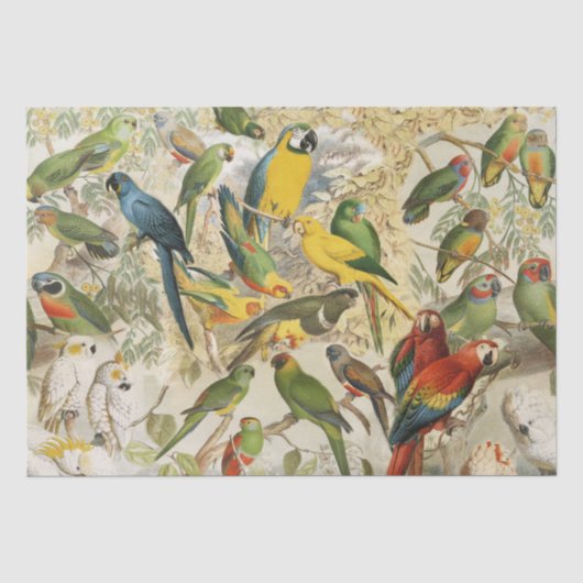 Elegant Tropische Vogelparrots ontkoppelen Tissuepapier (Voorkant)