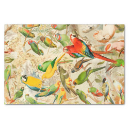 Elegant  Tropische Vogelparrots ontkoppelen Tissuepapier