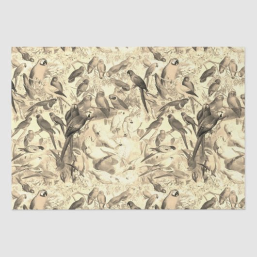 Elegant Tropische Vogelparrots ontkoppelen Tissuepapier (Voorkant)