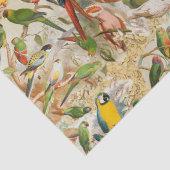 Elegant  Tropische Vogelparrots ontkoppelen Tissuepapier (Detail)