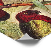 Elegant  Tropische Vogelparrots Poster (Hoek)