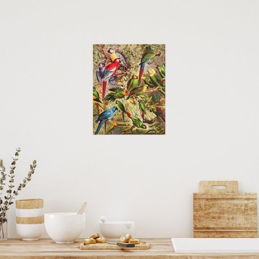Elegant  Tropische Vogelparrots Poster (Keuken)