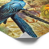 Elegant  Tropische Vogelparrots Poster (Hoek)