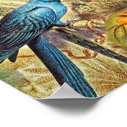 Elegant  Tropische Vogelparrots Poster (Hoek)