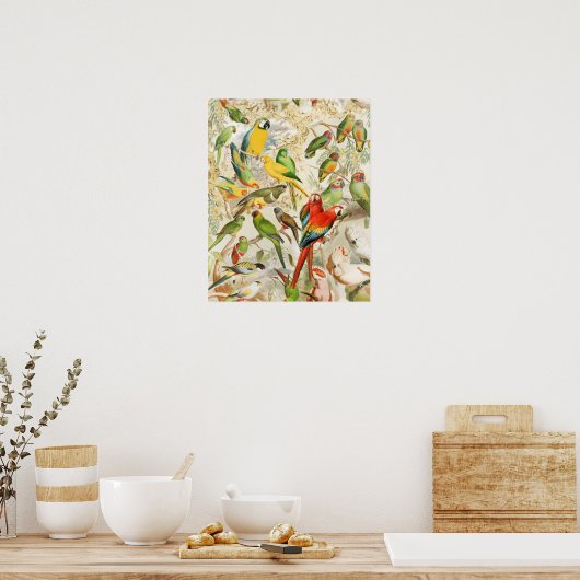 Elegant  Tropische Vogelparrots Poster (Keuken)