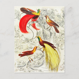 Elegant  tropische vogels in het paradijs briefkaart