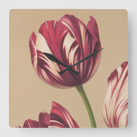 Elegant  Tulip Art Floral Wall Clock Vierkante Klok (Voorkant)