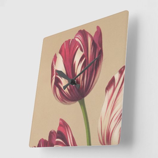 Elegant  Tulip Art Floral Wall Clock Vierkante Klok (Hoek)