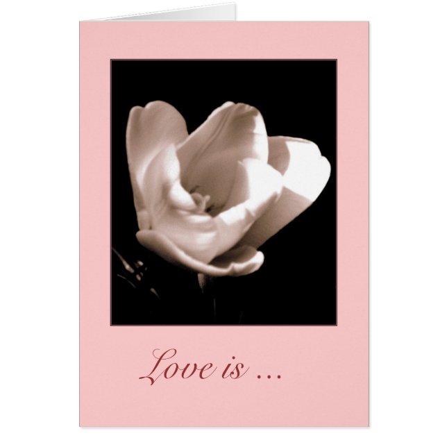 Elegant Tulip'Love is ...." Blanco Wenskaart (Voorkant)