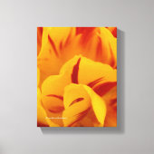 Elegant Two-Tone Red Gold Monsella Tulip Canvas Afdruk (Voorkant)