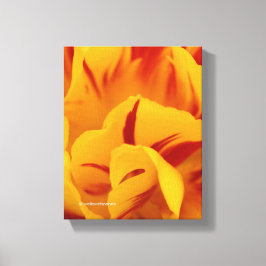 Elegant Two-Tone Red Gold Monsella Tulip Canvas Afdruk