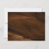 Elegant Velvet Rust Gold Marble Agate Geode Notitiekaartje (Achterkant)