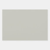 Elegant verfijnd salie Minimalistisch en chic Inpakpapier Vel (Voorkant 2)