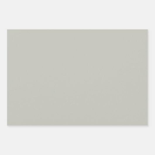 Elegant verfijnd salie Minimalistisch en chic Inpakpapier Vel (Voorkant)