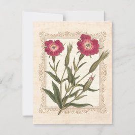 Elegant verjaardagsfeest van de tuinvrouw, 50 jaar kaart