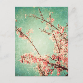  elegant versleten blauwgroen hout & kersbloesem briefkaart