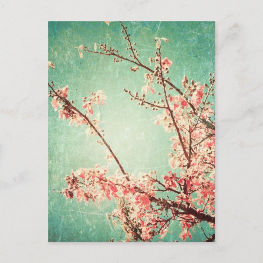  elegant versleten blauwgroen hout & kersbloesem briefkaart (Voorkant)