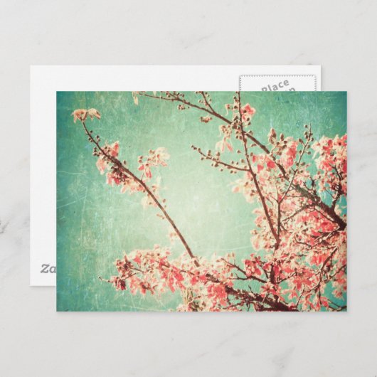  elegant versleten blauwgroen hout & kersbloesem briefkaart (Voorkant / Achterkant)