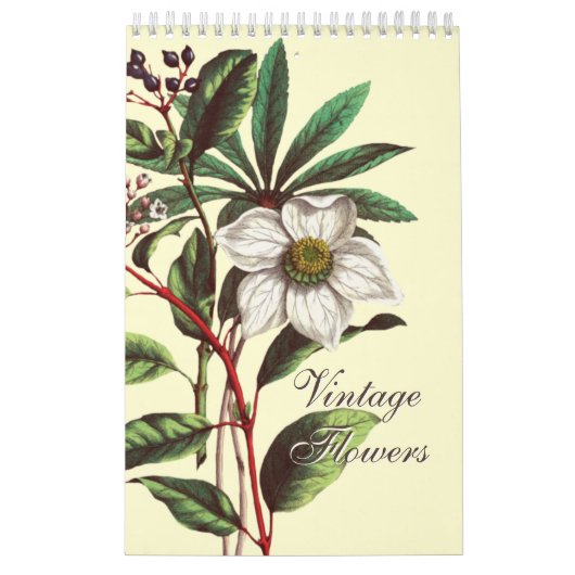 Elegant Vintage Botanical Flower Illustrations  Kalender (Hoes)