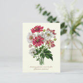 Elegant Vintage Botanical Japanese Anemone Briefkaart (Staand voorkant)