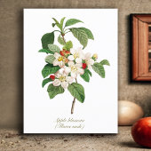 Elegant Vintage Botanische appelbloesem Briefkaart