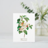 Elegant Vintage Botanische appelbloesem Briefkaart (Staand voorkant)