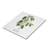 Elegant Vintage Botanische appelbloesem Tegeltje (Zijkant)