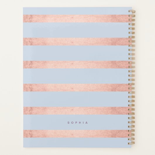 Elegant Violet Waterverf Florals Roos Gold Stripe Planner (Achterkant)