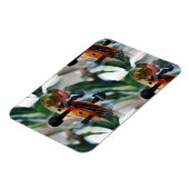 Elegant Violin Scroll Magneet (Linkerzijde)