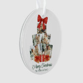 Elegant Watercolor Red Bow Family Christmas Tree Ornament (voorkant)