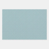 Elegant Waterverf Boho Cactus & Succulents Inpakpapier Vel (Voorkant 2)