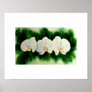 Elegant waterverf Orchids, groen botanisch Poster