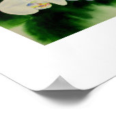 Elegant waterverf Orchids, groen botanisch Poster (Hoek)