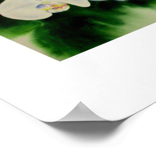 Elegant waterverf Orchids, groen botanisch Poster (Hoek)