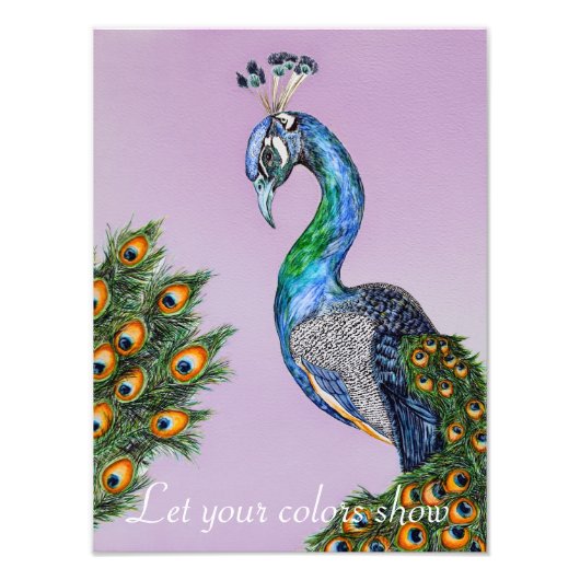 Elegant Waterverf Peacock Foto Afdruk (Voorkant)
