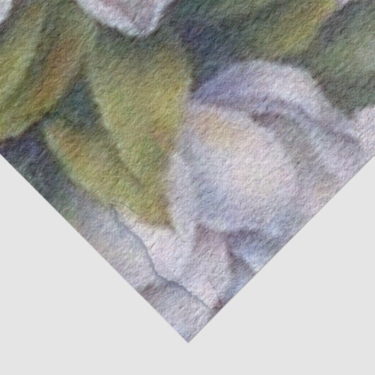 Elegant Waterverf White Magnolia Flower Tissuepapier (Detail)