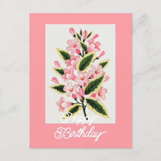Elegant  Weigela Plant Happy Birthday Briefkaart (Voorkant)
