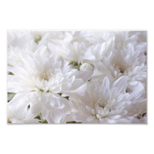 Elegant White bloemen Foto Afdruk (Voorkant)