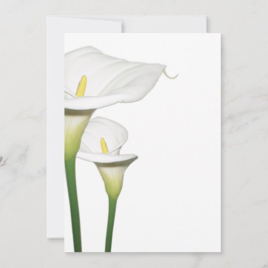 Elegant White Calla Lilies Wedding Save the Date (Achterkant)
